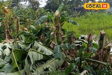 দেবীপক্ষের সূচনায় কদম্বগাছিতে একি হচ্ছে! কাস্তে, হাঁসুয়া, দা নিয়ে জঙ্গলে...!