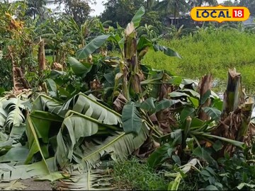 কদম্বগাছিতে মহালয়ার দিন পালিত হল নষ্ট চন্দন উৎসব