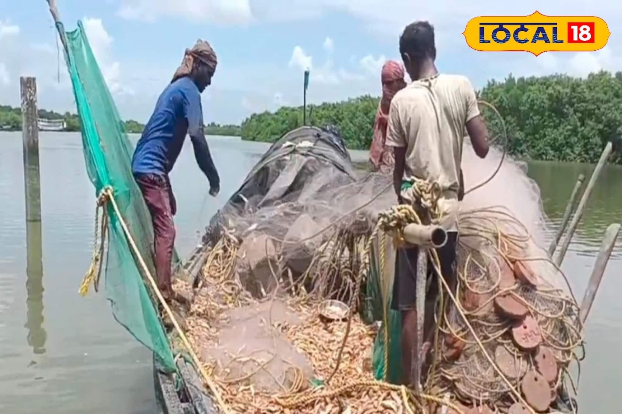 বাজারে সামুদ্রিক মাছ, কাঁকড়ার ঘাটতি! হঠাৎ কেন পেশা ছাড়তে চাইছে সুন্দরবনের মৎস্যজীবীরা?