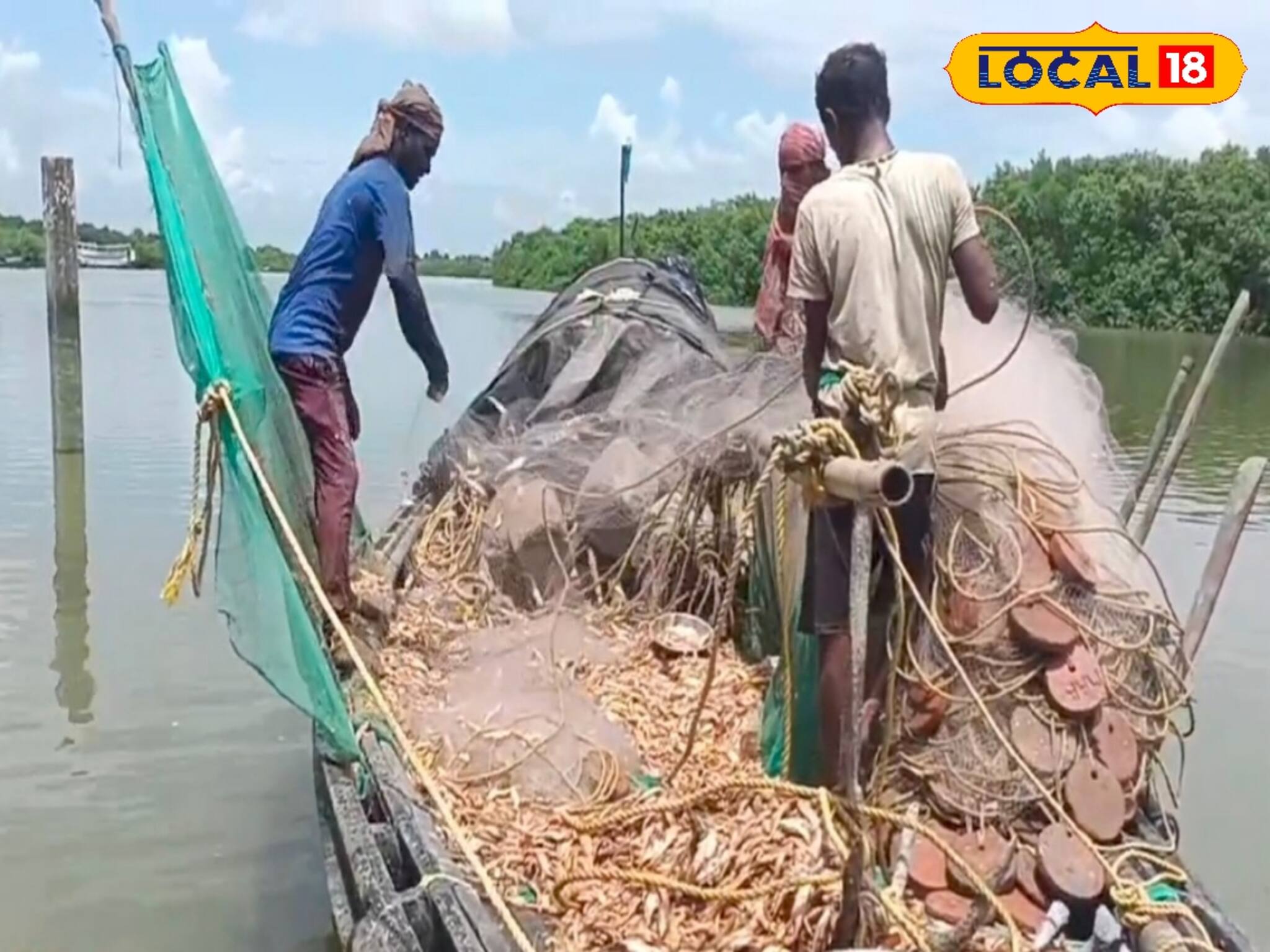 বাজারে সামুদ্রিক মাছ, কাঁকড়ার ঘাটতি! হঠাৎ কেন পেশা ছাড়তে চাইছে সুন্দরবনের মৎস্যজীবীরা?
