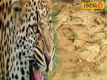 লালগড়ের জঙ্গলে আজনা জন্তুর পায়ের ছাপে ছড়িয়েছে আতঙ্ক 