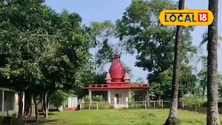 অজানা জন্তুর হামলায় এলাকায় আতঙ্ক