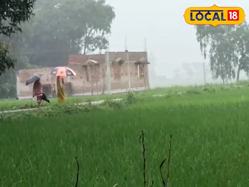 এই জোড়া নিম্নচাপের প্রভাবেই দক্ষিণবঙ্গের বেশকিছু জেলার জন্য আবহাওয়া দফতর কমলা সর্তকতা, কোনও কোনও জেলার জন্য হলুদ সর্তকতা জারি করেছে। আবহাওয়া দফতরের পূর্বাভাস মতো ইতিমধ্যেই জেলায় জেলায় নিম্নচাপের বৃষ্টি খেলা দেখাতে শুরু করেছে। 
