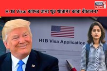 চাকরির নিয়ে আমেরিকায় যাওয়া কাদের জন্য হল কাঁটার মতো, এ যাত্রা বেঁচে গেলেন কারা?