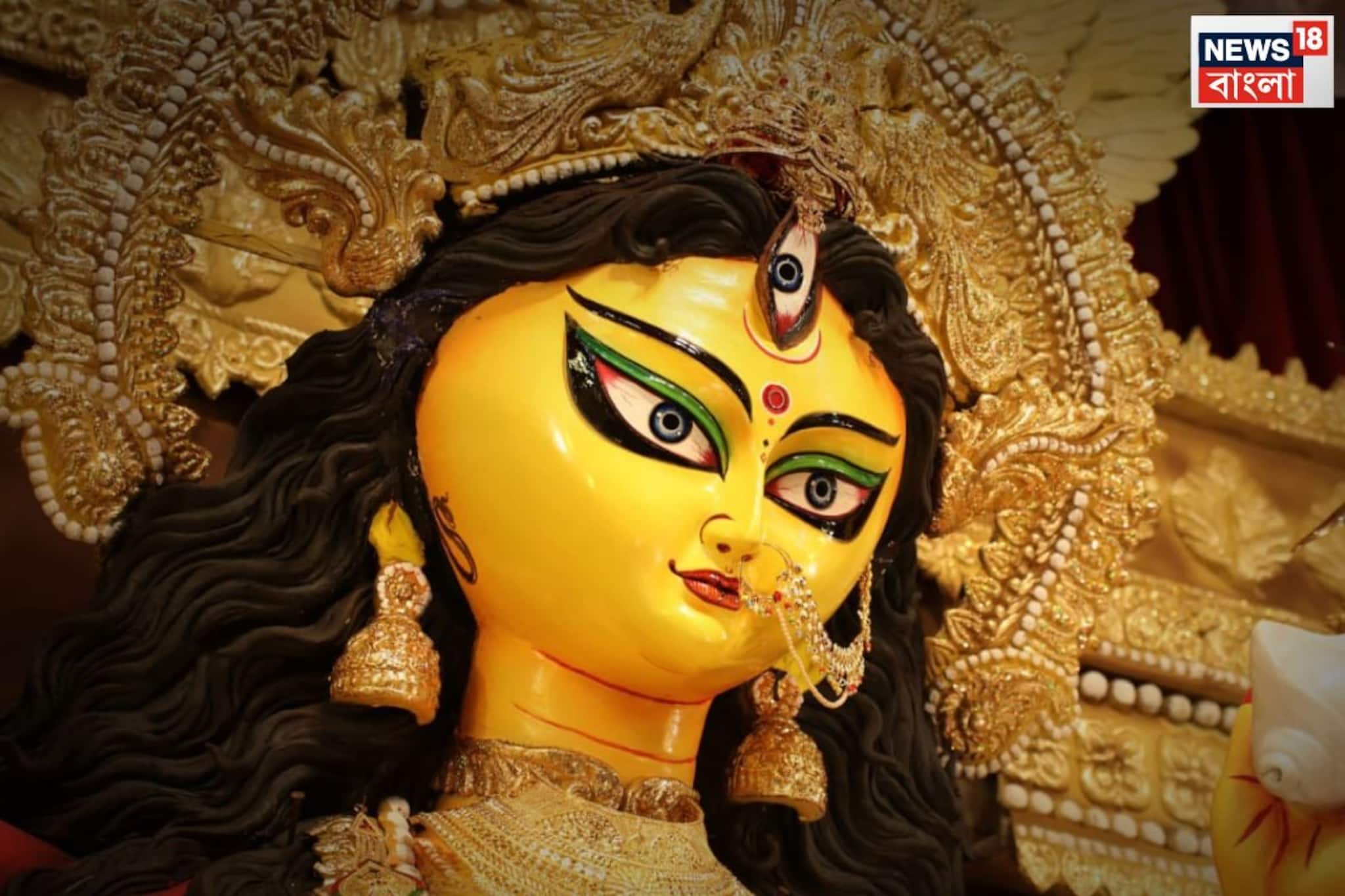 Durga Puja 2025: রাজনন্দিনী মা দুর্গা! বাংলার রাজপরিবারের ঐতিহ্য ঘিরে তৈরি মণ্ডপ, মায়ের রূপ নজরকাড়া