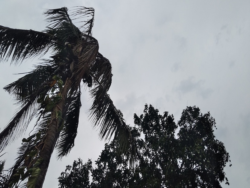বাংলার একাধিক জেলায় ফের বজ্রবিদ্যুৎ-সহ ঝড়-বৃষ্টির পূর্বাভাস। আগামী দু-ঘন্টায় বজ্রবিদ্যুৎ-সহ ঝড়-বৃষ্টির সতর্কতা। 