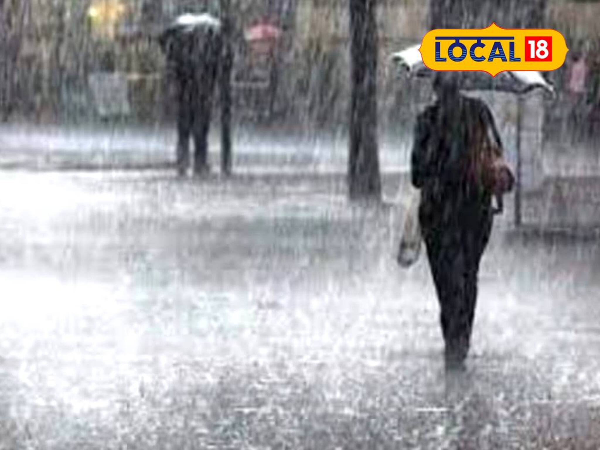 Weather Update: বেলা গড়াতেই ঝমঝমিয়ে শুরু! দিনভর কেমন থাকবে জেলার আবহাওয়া? পূর্বাভাস কী বলছে দেখুন