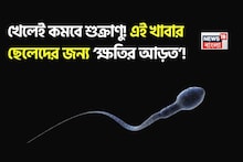 পেটে গেলেই হু হু করে কমবে শুক্রাণু! তলানিতে যৌনশক্তি! এই ১ খাবার ছেলেদের জন্য ক্ষতির আড়ত!