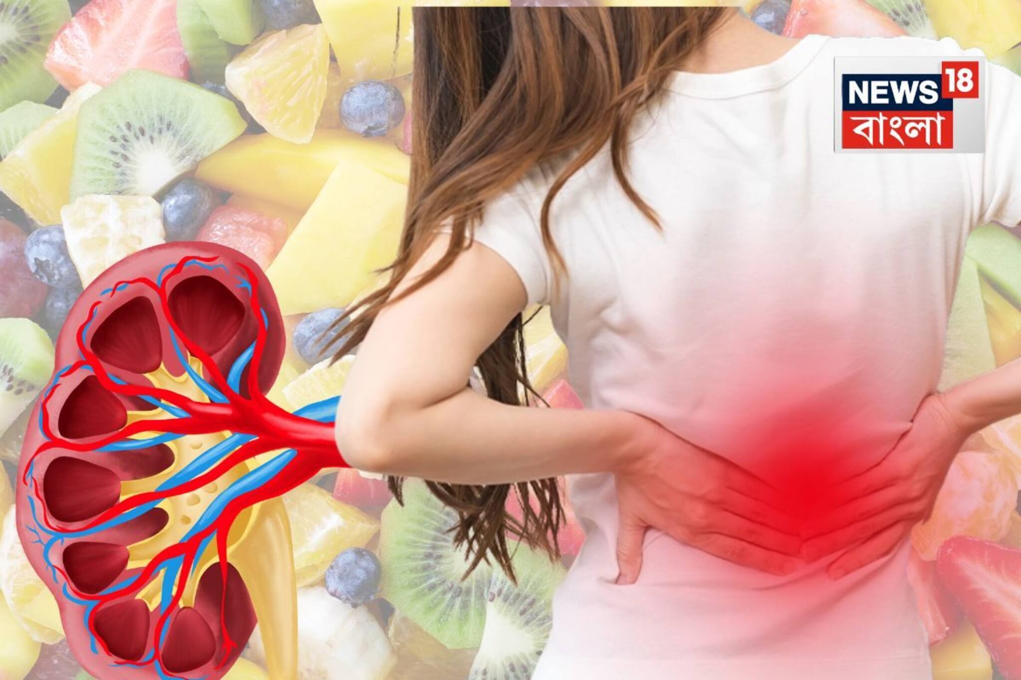 কিডনির সমস্যা থাকলে ছোঁবেন না 'এই' টক-মিষ্টি সুস্বাদু ফল,ধীরে ধীরে পচিয়ে দেবে শরীরের ছাকনি