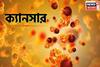 ১৫ খাবার...! বাড়িয়ে দেয় 'ক্যানসারের' ঝুঁকি, রোজ রোজ খাচ্ছেন নাকি? চমকে দেবে 'গবেষণা'