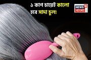 দামি তেল-শ্যাম্পু-টনিক-হেয়ার কালার কেনা বন্ধ করুন! ১ কাপ চায়েই কালো হবে পাকা চুল!