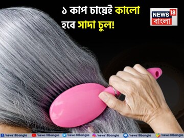 দামি তেল-শ্যাম্পু-টনিক-হেয়ার কালার কেনা বন্ধ করুন! ১ কাপ চায়েই কালো হবে পাকা চুল!