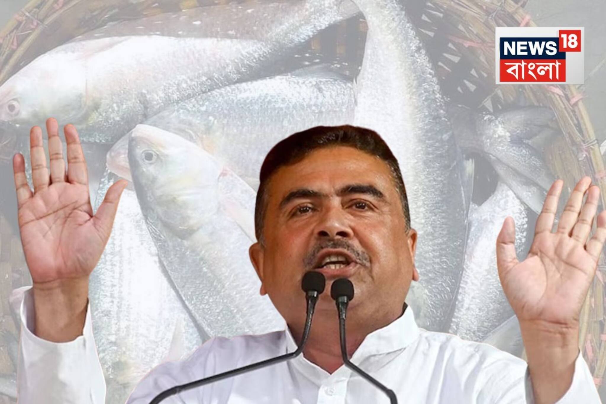 গাড়ি ভর্তি ইলিশ বিক্রি করে দিচ্ছে পুলিশ? 'ডায়মন্ডহারবার মডেল...' বিস্ফোরক শুভেন্দু