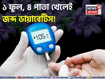 ব্লাড সুগারের যম ১ ফুল, ৪ পাতা! খেলেই জব্দ ডায়াবেটিস! ব্রহ্মাস্ত্রে দফারফা ঘাতক রোগের