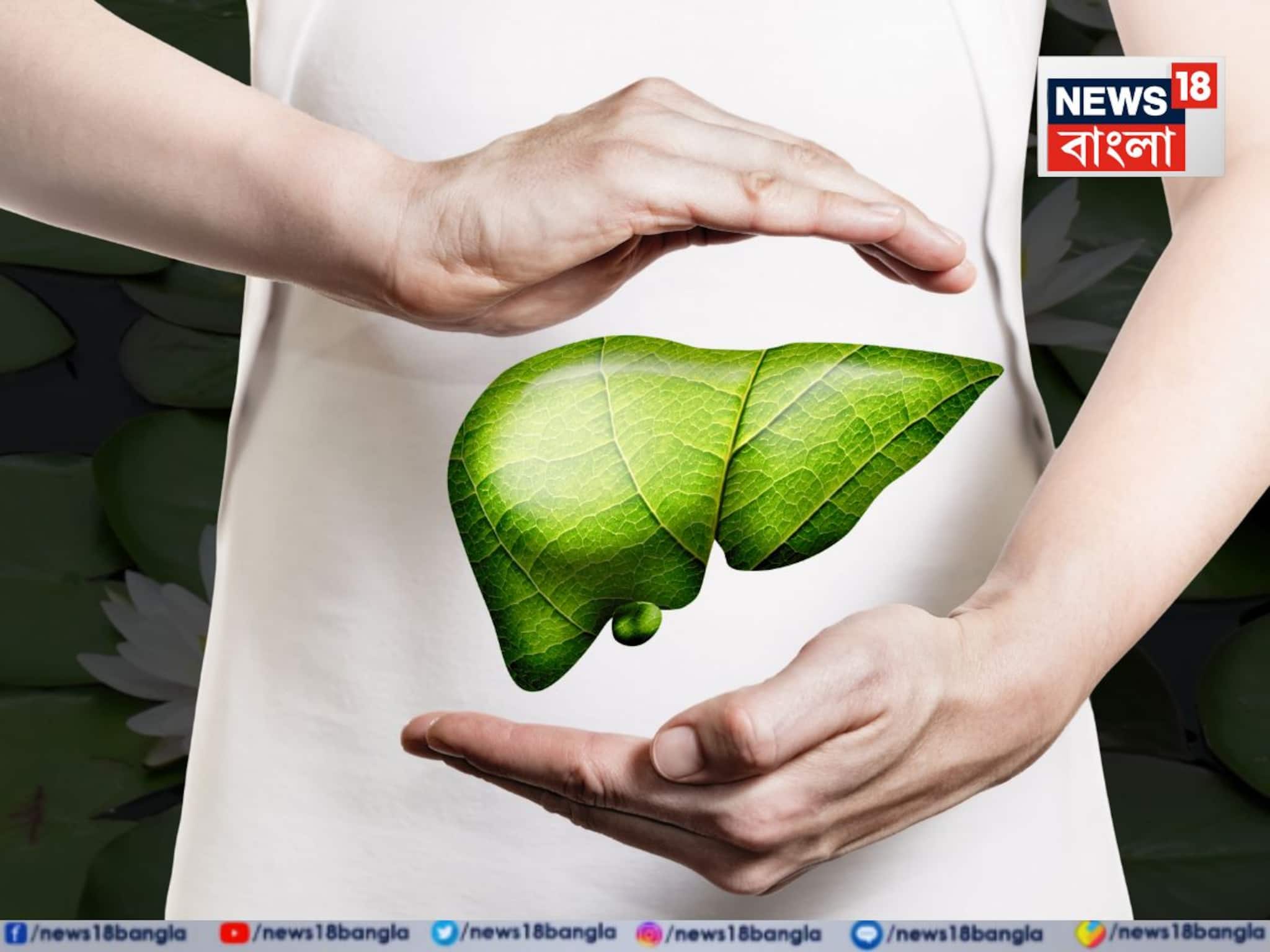 Shapla to control Live Disease: ব্লাড সুগারের ব্রহ্মাস্ত্র! ১ বাটি শাপলায় কুপোকাত কোষ্ঠকাঠিন্য,বদহজম!লিভার থেকে বিষাক্ত নোংরা দূর করে সারায় রক্ত আমাশা