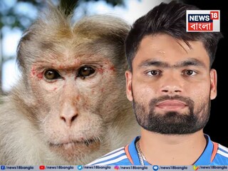 News18