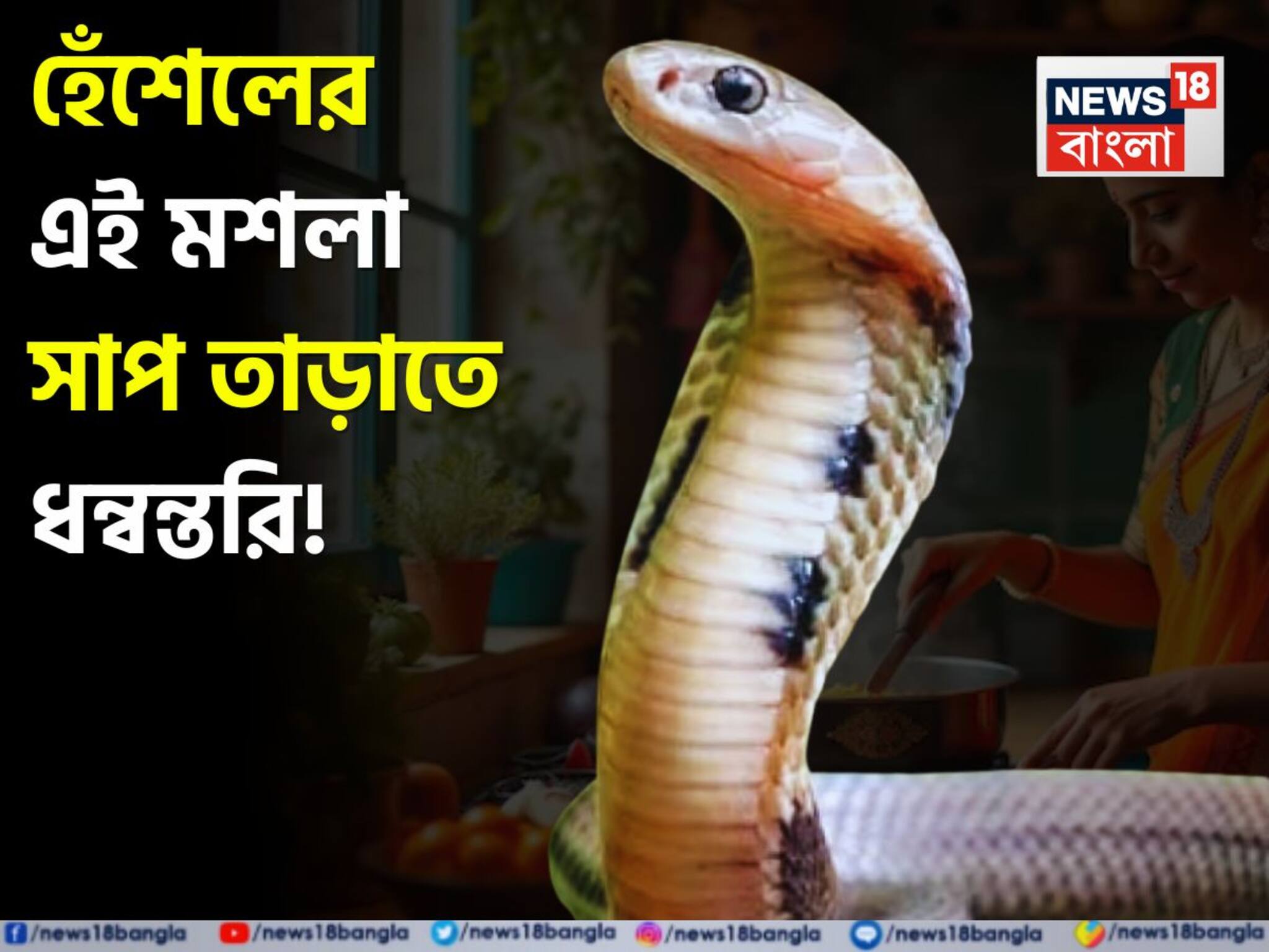 Snake Prevention Tips: সাপ তাড়াতে ধন্বন্তরি! হেঁশেলের এই মশলা পোড়ালেই পালাবে বিষধর সাপের দল! আপনার বাড়ি হবে বিষমুক্ত