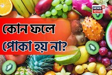 প্রোটিন-ভিটামিনে ঠাসা, পুষ্টির ভাণ্ডার এই ফল! বলুন তো,কোন ফলে পোকা হয় না?