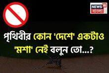 পৃথিবীর কোন 'দেশে' একটাও 'মশা' নেই বলুন তো...? শুনলেই চমকে উঠবেন, কনফার্ম!