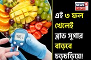 ব্লাড সুগার বাড়বে দুদ্দাড়িয়ে! নেতিয়ে পড়বে শরীর! ডায়াবেটিসে ভুলেও খাবেন না এই ৩ ফল