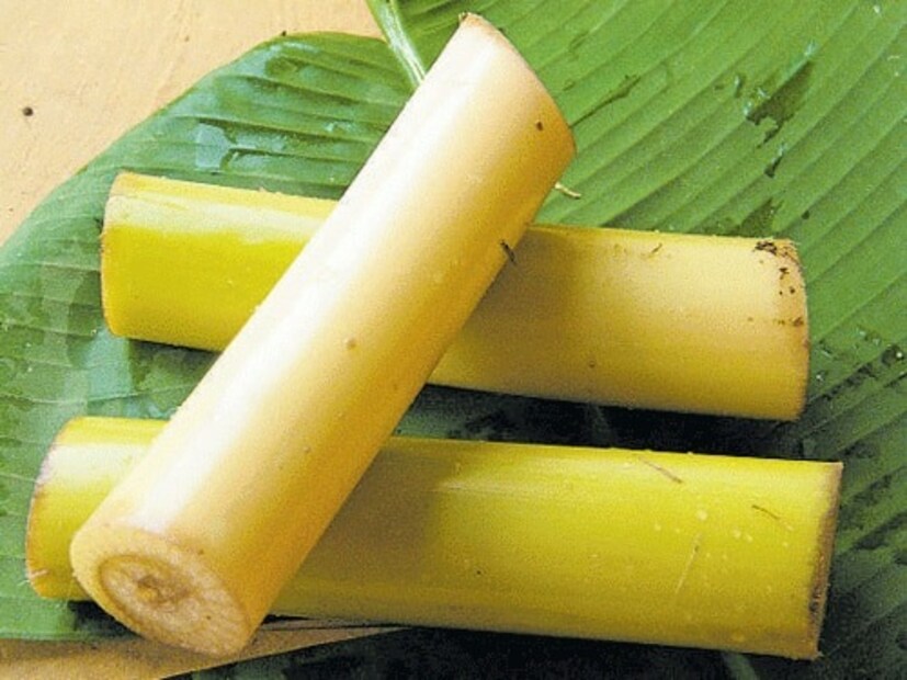 কাঁচা ছোলা এবং থোড়ের মতো সবজি এ মাসে খাবেন না৷ কারণ নবপত্রিকা যে মাসে পুজো করা হয়, সেই মাসে কলাগাছ কাটা অশুভ বলে মনে করা হয়৷ তাই থোড় এড়িয়ে চলুন এ সময়৷