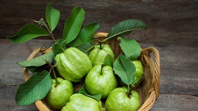 डायबिटीज में अमरूद के फायदे: पोषक तत्वों से भरपूर इस फल के लाभ जानकर चौंक जाएंगे आप.