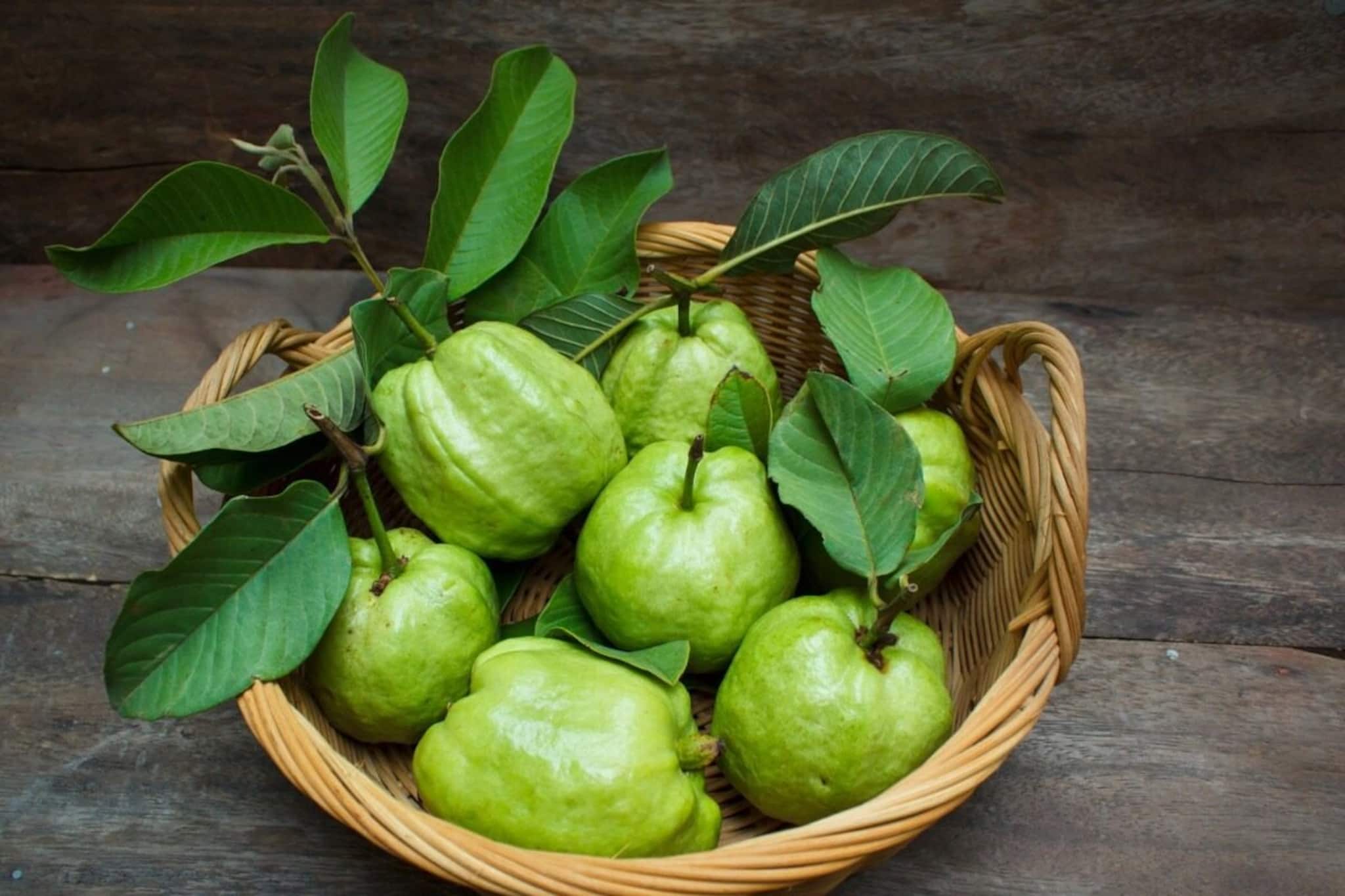 ওজন কমানোর 'গোপন ফর্মূলা'! অনেকে জানতেনই না, পেয়ারা খেয়েই আপনি পেতে পারেন ছিপছিপে 'ফিগার'