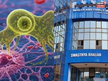 কুরে কুরে খায় মস্তিস্ক, ভয়ঙ্কর অ‍্যামিবায় রাজ‍্যে কেউ আক্রান্ত নয়! বড় ঘোষণা স্বাস্থ‍্য দফতরের, আতঙ্ক নয়, এল সতর্কতার বার্তা