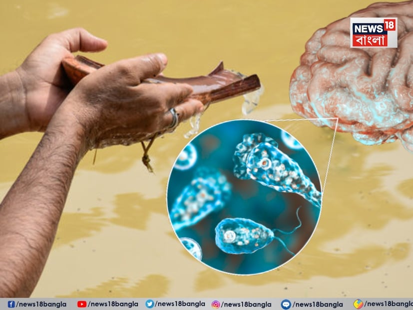 মস্তিস্ক খেকো অ&#x200d;্যামিবা নিয়ে ক্রমশ আতঙ্ক ছড়াচ্ছে রাজ&#x200d;্যে। এই ভয়ঙ্কর অ&#x200d;্যামিবা জলজ জীবাণু। তাই জল থেকেই ছড়াতে পারে প্রবেশ করতে পারে দেহে। অ&#x200d;ন&#x200d;্যদিকে আগামীকালই মহালয়া। মহালয়ার দিন নদী, পুকুরে নেমে তর্পণ করবেন প্রচুর মানুষ। তর্পণ করার বা জলে নামার ক্ষেত্রে কী কোনও বিশেষ সতর্কতা অবলম্বন করা উচিত? নদী বা জলাশয়ের জল থেকেও কী শরীরে প্রবেশ করতে পারে এই অ&#x200d;্যামিবা? কী বলছেন চিকিত্&#x200d;সক? 