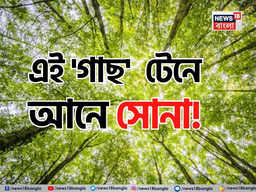 সোনা কে না ভালবাসে? আমরা সবাই এক বাক্যে সোনা ভালোবাসি। সোনাকে অনেকেই বিপদের বন্ধু বলে মনে করেন আবার অনেকের সোনা কেনা যেন নেশার মতো! কেউ কেউ আবার শুধুই সাজসজ্জার জন্য কেনেন এই অপার্থিব সোনালি ধাতুটি।