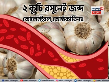 রসুন এভাবে খেলে কমবে বদ কোলেস্টেরল! সুস্থ হার্ট! গ্যাস অম্বল কোষ্ঠকাঠিন্যের ইনিংস শেষ!