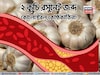 রসুন এভাবে খেলে কমবে বদ কোলেস্টেরল! সুস্থ হার্ট! গ্যাস অম্বল কোষ্ঠকাঠিন্যের ইনিংস শেষ!