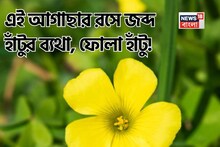৩ পাতার এই আগাছা হল বিনামূল্যে ওষুধের দোকান! দ্রুত হাঁটুর ব্যথা, ফোলা হাঁটু কমাতে অব্যর্থ