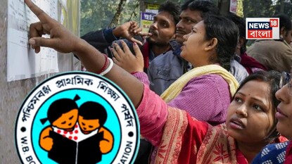 অবশেষে প্রকাশিত হল প্রাইমারি টেটের ফল, পাশ মাত্র ৩%! কীভাবে রেজাল্ট দেখবেন? অবশেষে প্রকাশিত হল প্রাইমারি টেটের ফল, পাশ মাত্র ৩%! কীভাবে রেজাল্ট দেখবেন?