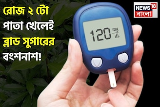 এই পাতা রোজ ২ টো! ব্লাড সুগারের জলাঞ্জলি! সামান্য যত্নে বাড়িতেই বাড়বে তরতরিয়ে