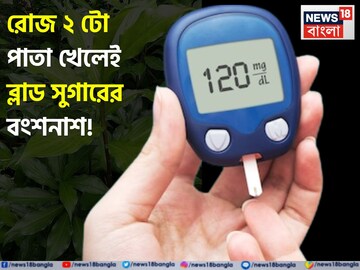 এই পাতা রোজ ২ টো! ব্লাড সুগারের জলাঞ্জলি! সামান্য যত্নে বাড়িতেই বাড়বে তরতরিয়ে