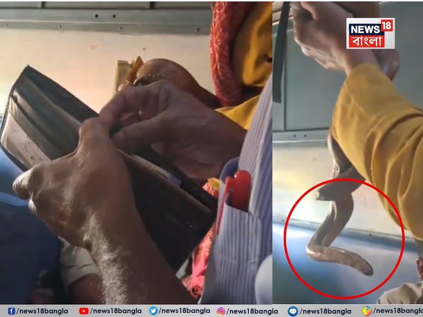 সোশ্যাল মিডিয়া এমন এক প্ল্যাটফর্ম যা প্রতি মুহূর্তে আমাদের সামনে এমন অনেক কিছু তুলে আনে যা দেখলে চমকে উঠতে হয়। কখনও সোশ্যাল মিডিয়ায় ভাইরাল হওয়া এই সব দৃশ্য দেখে হাসির ফোয়ারা ছোটে তো কখনও দেখলেই ভয়ে আঁতকে উঠতে হয়!