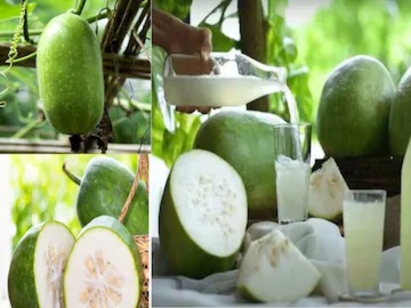 মহালয়ার পর প্রতিপদে চালকুমড়ো খাওয়া নিষিদ্ধ৷ তৃতীয়াতে পটল খাওয়া অশুভ বলে মনে করা হয়৷ চতুর্থীর দিন কখনওই মুলো এবং পঞ্চমীতে বেলভক্ষণ করবেন না৷
