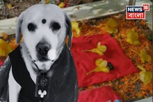 Sontu Famous Dog: বাংলাদেশের তারকা কুকুর সন্টুর মৃত্যুর পর প্রথম পুজো, সমাধিতে নতুন জামা-ফুল রেখে হাউ হাউ কান্না পরিবারের! ভিডিও পোস্ট হতেই ভাইরাল