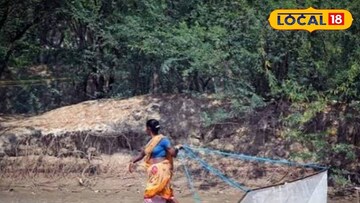 সুন্দরবন