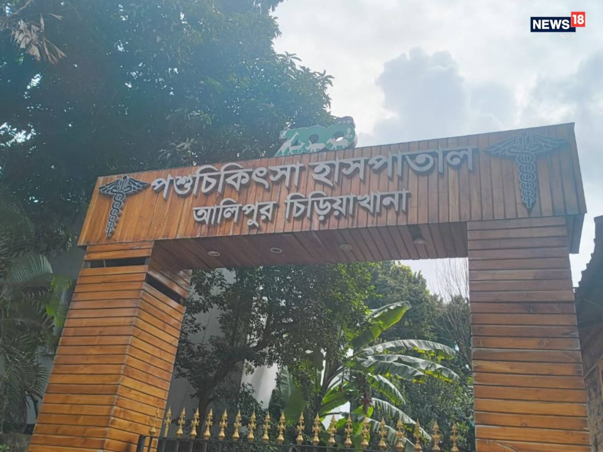 Tigress Death at Alipore Zoo: "চিকিৎসায় সাড়া দিয়েছিল..." তদন্তে কমিটির রিপোর্টে নয়া তথ‍্য! তবে কী হয়েছিল মৃ*ত বাঘিনীদের?