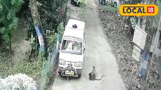 নিশ্চয়যানে হনুমানের তাণ্ডব