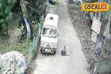 নিশ্চয়যানে লাগাতার হনুমানের তাণ্ডব! মহা সমস্যায় জরুরি পরিষেবার গাড়ি চালক-মালিকরা