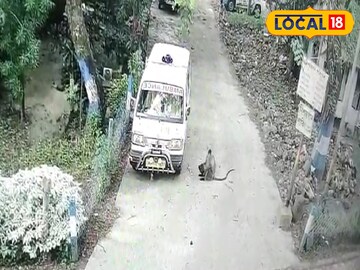 নিশ্চয়যানে হনুমানের তাণ্ডব