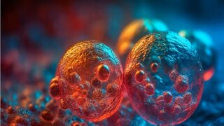 মগজখেকো অ্যামিবা প্রতিরোধে কাজে আসছে কোন ওষুধ?