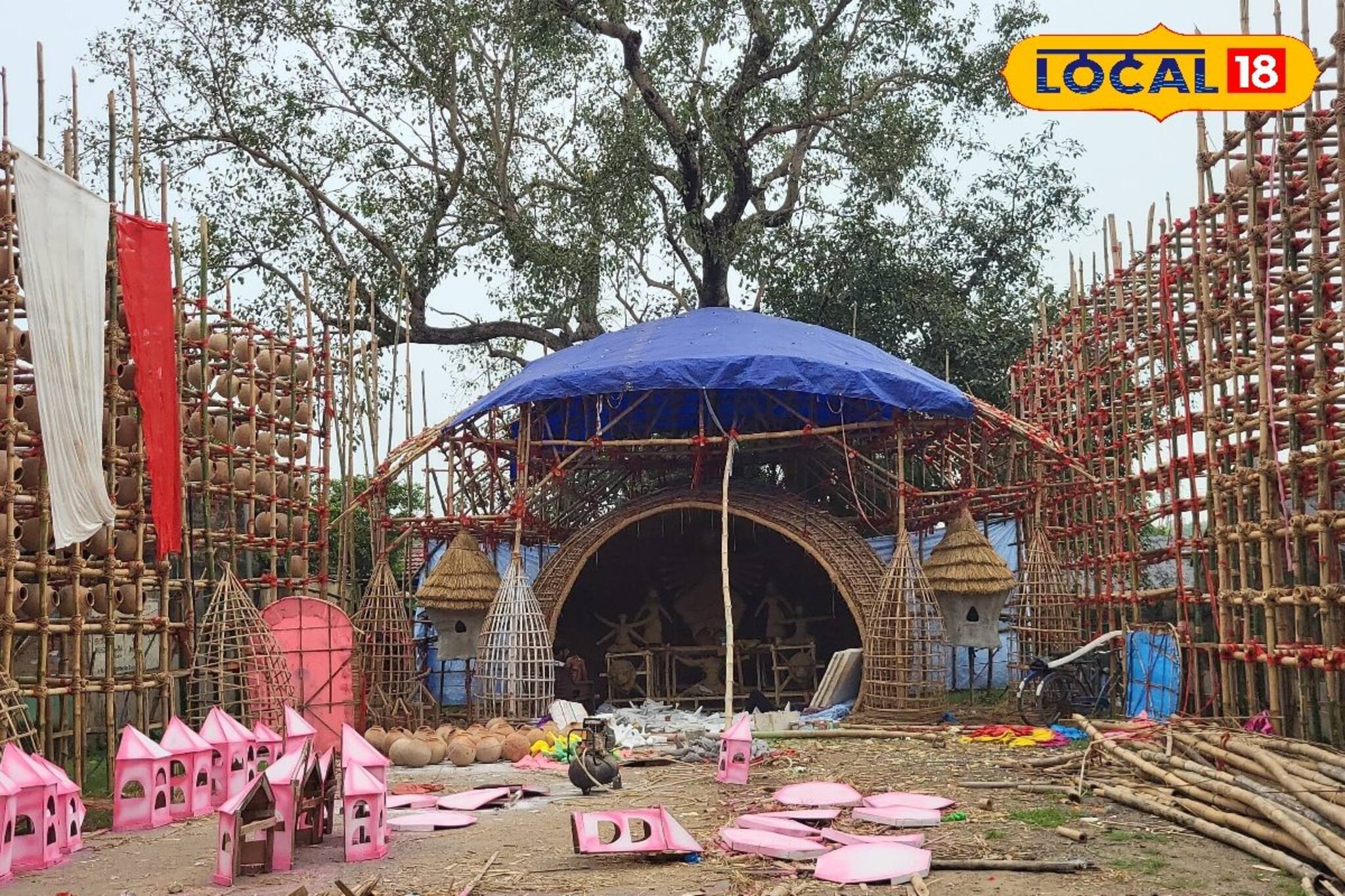 খাঁচা ছাড়া পাখিদের বাসা বাঁধছে এই পুজো মণ্ডপ! পাখির রঙিন দুনিয়া দেখতে যেতে হবে এখানে