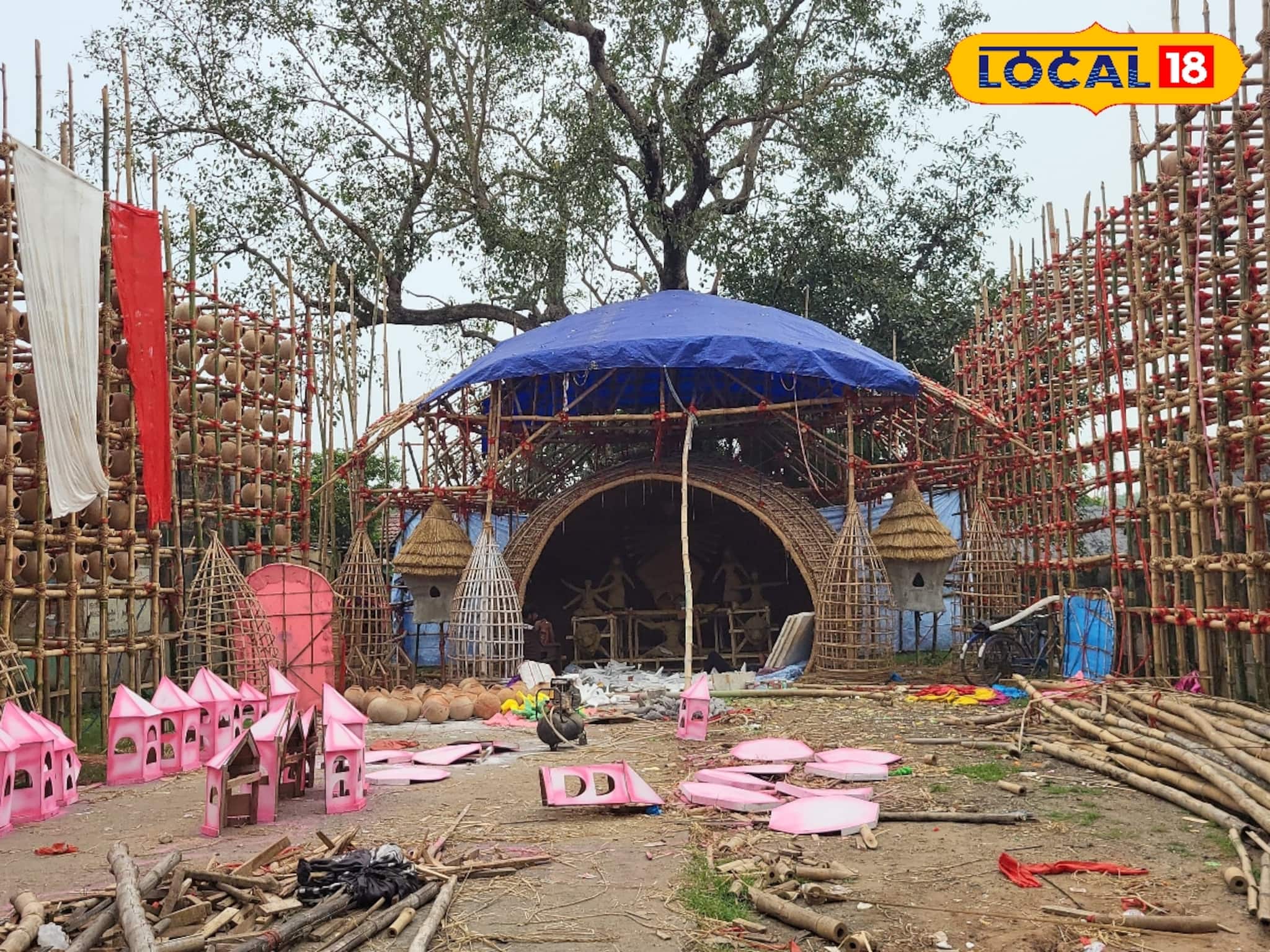 খাঁচা ছাড়া পাখিদের বাসা বাঁধছে এই পুজো মণ্ডপ! পাখির রঙিন দুনিয়া দেখতে যেতে হবে এখানে