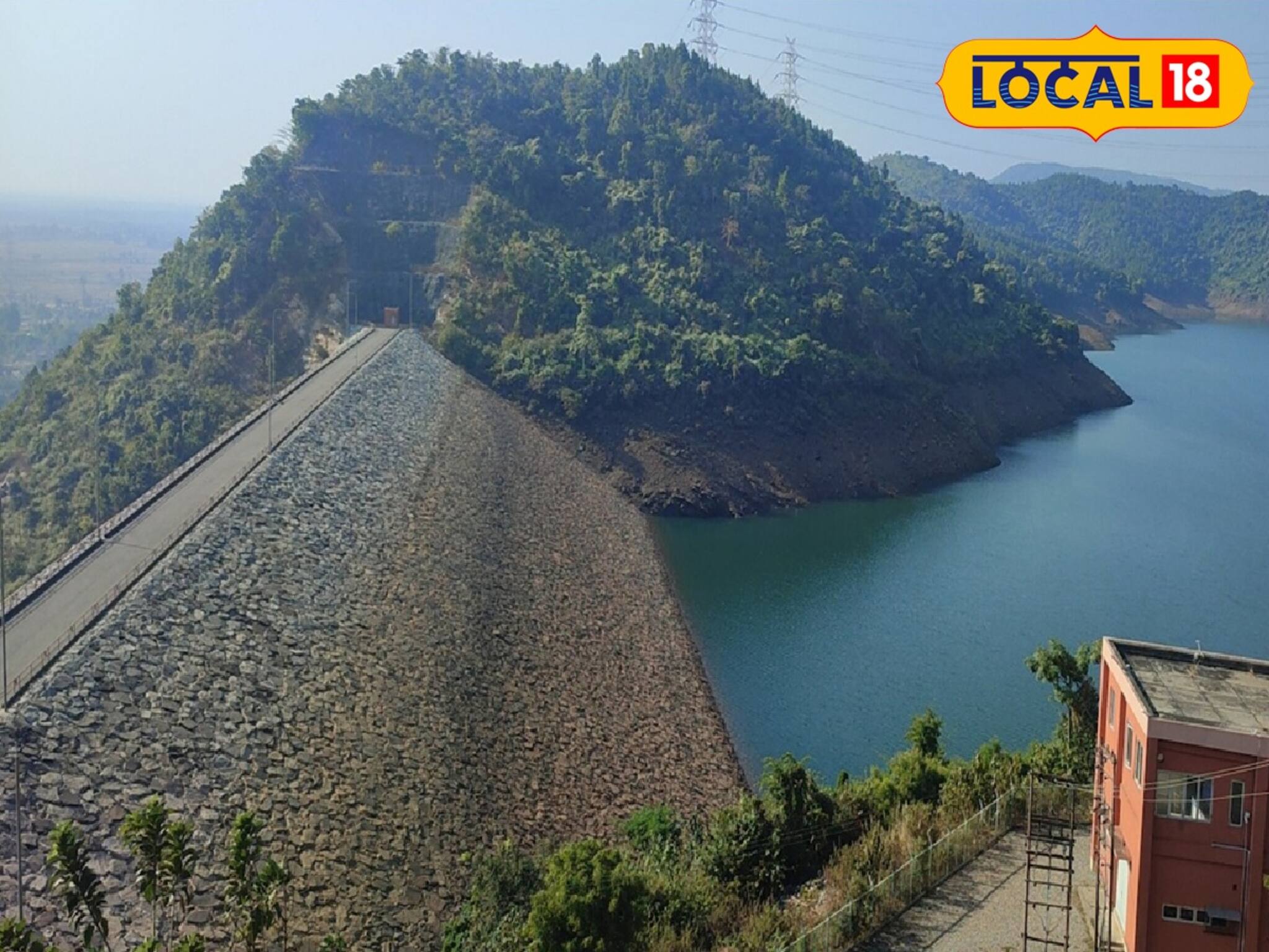 অন্যদের থেকে আলাদা! পুরুলিয়ায় খোঁজ নতুন উদ্ভিদের, 'এই' মহামানবের নামে রাখা হল নাম