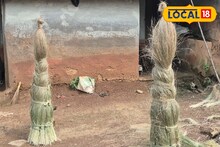 ঘাস তো নয়, যেন 'টাকার গাছ'! বাড়ির আশেপাশে থাকলেই বাড়তি আয়, অর্ডার পাবেন ভিন রাজ্য থেকেও