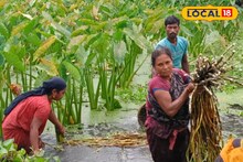 সপ্তাহে কয়েকদিনের পরিশ্রম, তাতেই বদলে যাচ্ছে কৃষকদের ভাগ্য